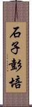 石子彭培 Scroll