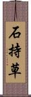 石持草 Scroll