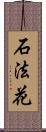 石法花 Scroll