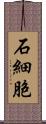 石細胞 Scroll
