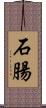 石腸 Scroll