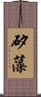 矽藻 Scroll