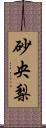 砂央梨 Scroll