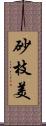 砂枝美 Scroll