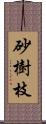 砂樹枝 Scroll