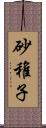 砂稚子 Scroll