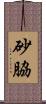 砂脇 Scroll
