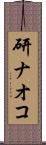 研ナオコ Scroll