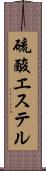 硫酸エステル Scroll