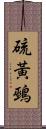 硫黃鵐 Scroll