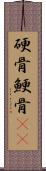 硬骨;鯁骨(rK) Scroll