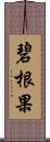 碧根果 Scroll