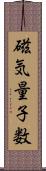 磁気量子数 Scroll