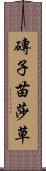 磚子苗 Scroll