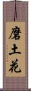 磨土花 Scroll