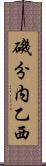 磯分内乙西 Scroll