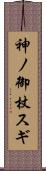 神ノ御杖スギ Scroll
