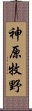 神原牧野 Scroll