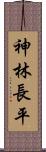 神林長平 Scroll