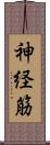 神経筋 Scroll