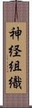 神経組織 Scroll