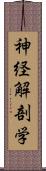 神経解剖学 Scroll