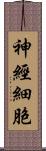 神經細胞 Scroll