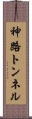 神路トンネル Scroll