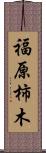 福原柿木 Scroll