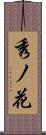 秀ノ花 Scroll
