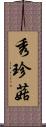 秀珍菇 Scroll