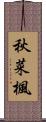 秋菜楓 Scroll