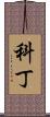 Kodyn Scroll