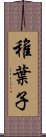 稚葉子 Scroll