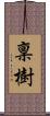 稟樹 Scroll