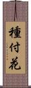 種付花 Scroll