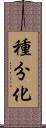 種分化 Scroll