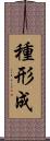 種形成 Scroll