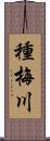 種梅川 Scroll