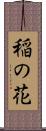 稲の花 Scroll