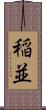 稲並 Scroll