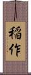 稲作 Scroll