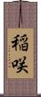 稲咲 Scroll