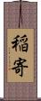 稲寄 Scroll