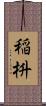 稲枡 Scroll