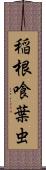 稲根喰葉虫 Scroll