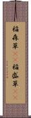 稲森草(rK) Scroll