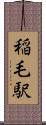 稲毛駅 Scroll