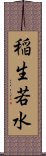 稲生若水 Scroll