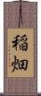 稲畑 Scroll